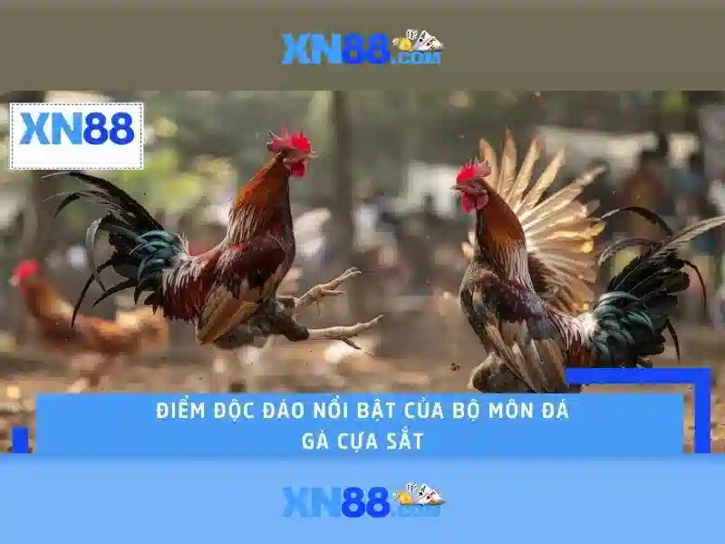 Giao diện nhà cái hoàn hảo