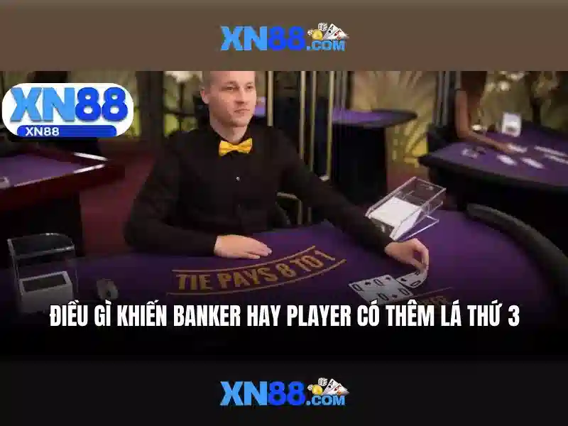 xn88 đăng nhập – Tổng quan, trải nghiệm và đánh giá