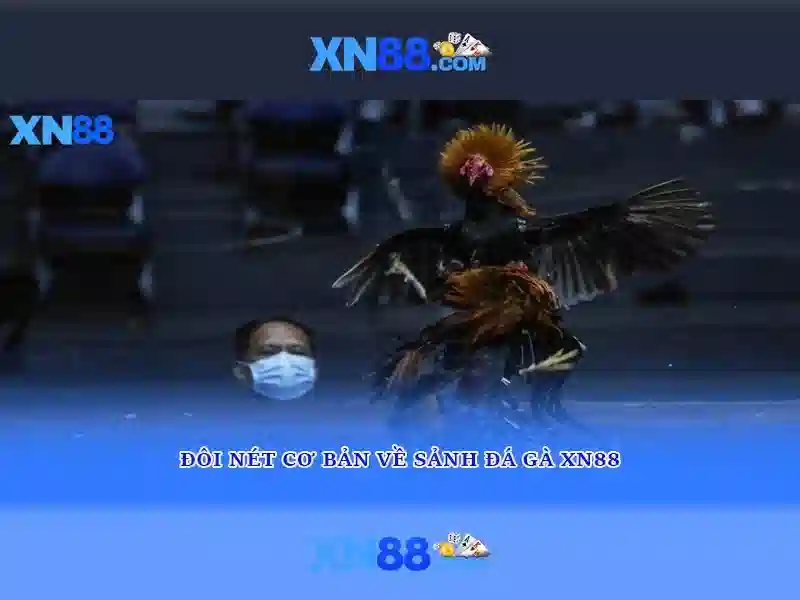 Tổng quan về xn88