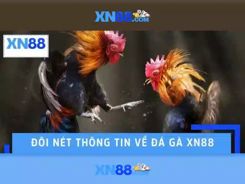 Giao diện nhà cái hoàn hảo