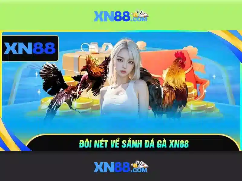 XN88 là gì? - Giới thiệu nền tảng cá cược trực tuyến