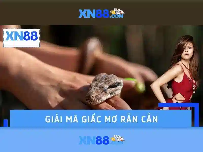 xn88 là gì và tại sao nó được nhiều người quan tâm Giao diện nhà cái hoàn hảo
