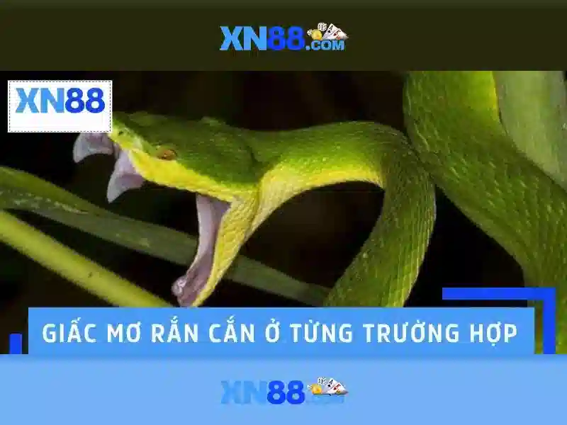 Lịch sử và sự phát triển\n