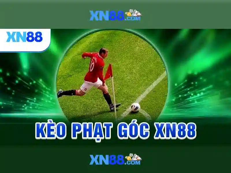 Chức năng chính\n