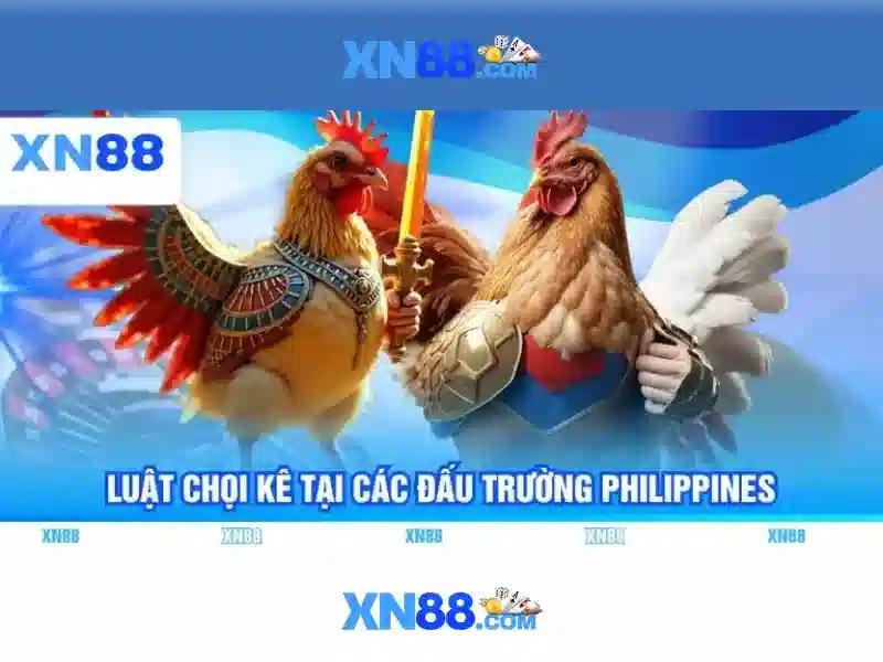 Các sản phẩm và dịch vụ của xn88 app com