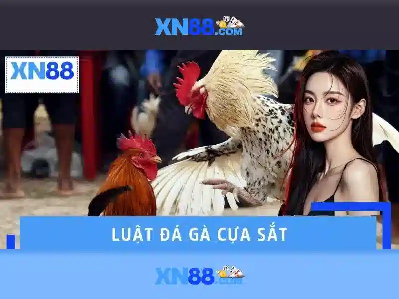 xn88 – nền tảng giải trí và cá cược trực tuyến