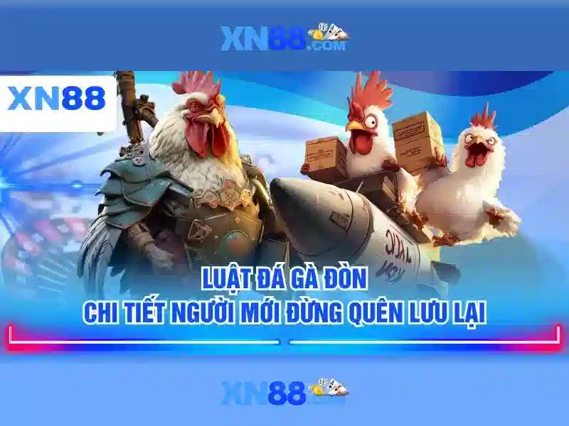 app xn88: Trải nghiệm và giá trị nổi bật
