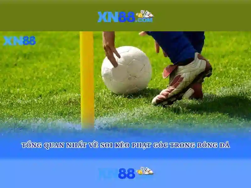 Giao diện nhà cái hoàn hảo