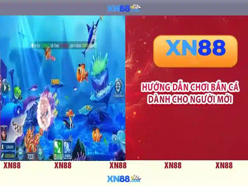 Giao diện nhà cái hoàn hảo