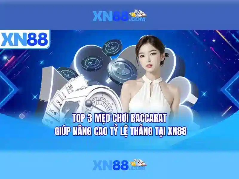 Trải nghiệm người dùng và phản hồi từ cộng đồng