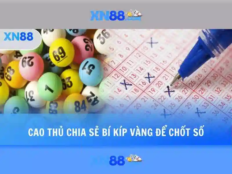 XN88: Nền tảng đặt cược trực tuyến và trải nghiệm người dùng