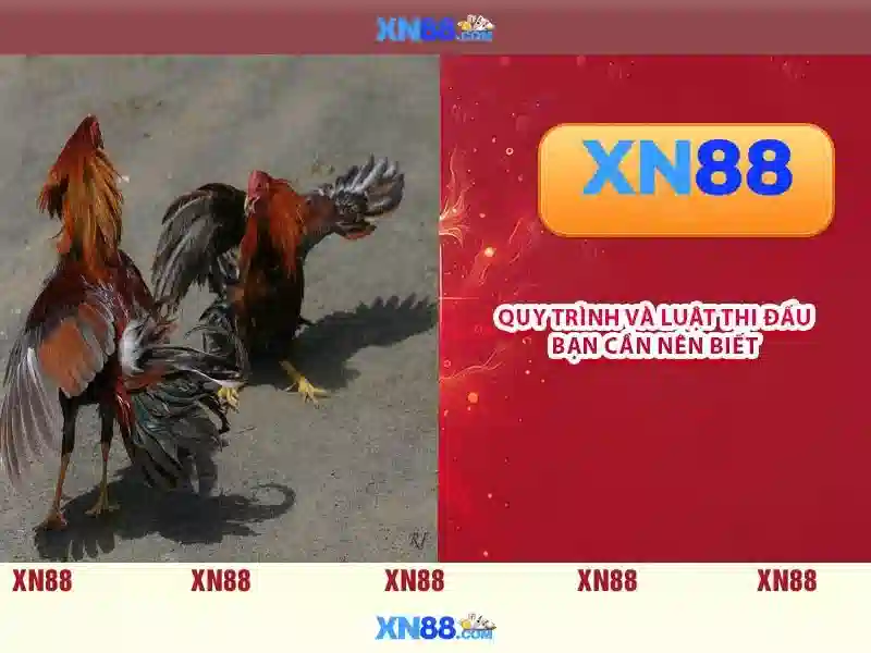 xn88 001encipherment.sa.com – Trải nghiệm và Đánh giá tổng quan