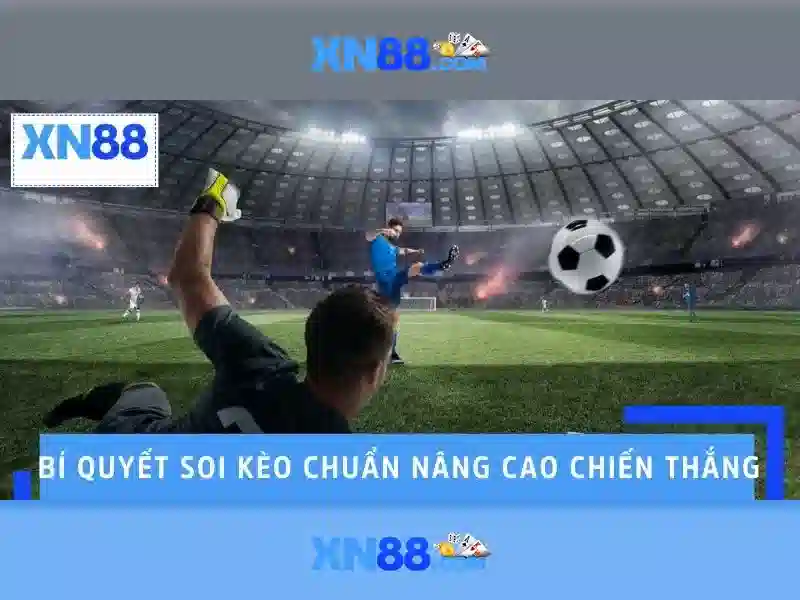 Các tính năng nổi bật\n