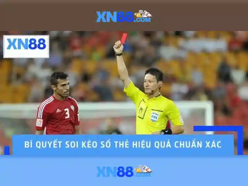 Giới thiệu về xn88\n