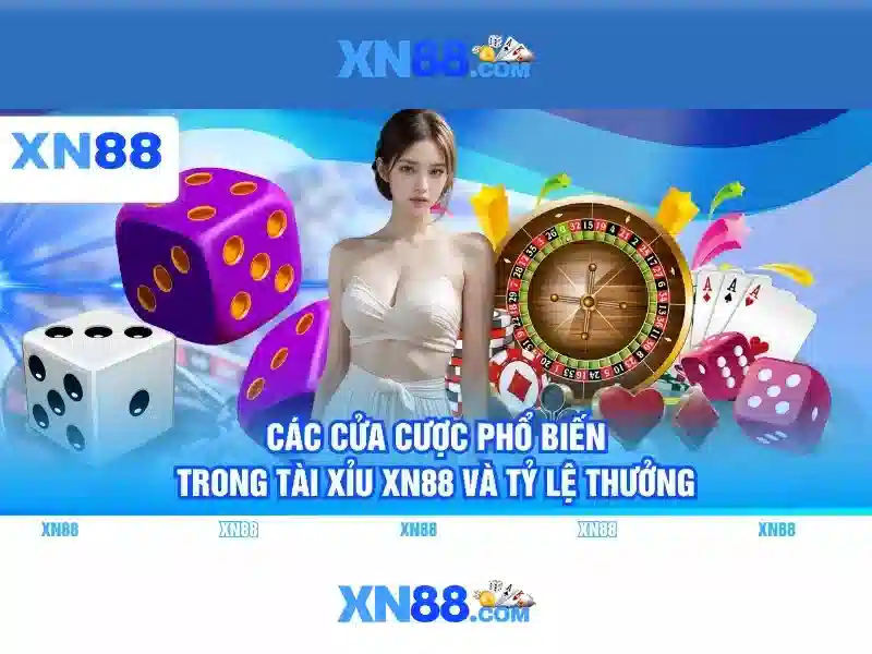 Giao diện và chức năng