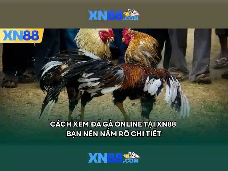Giao diện nhà cái hoàn hảo