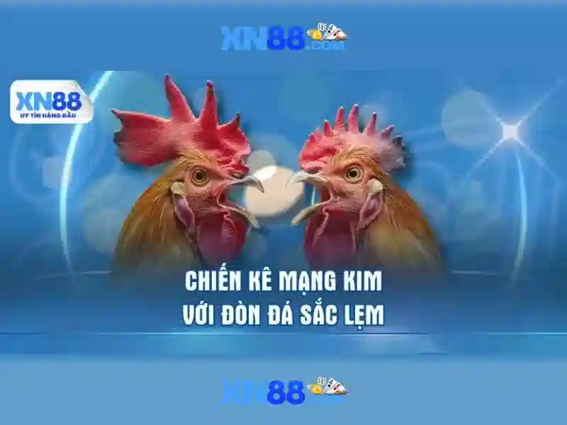 xn88 là gì và tại sao nó được nhiều người quan tâm