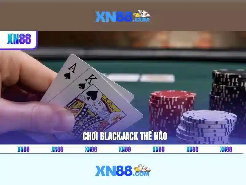 Trải nghiệm người dùng và phản hồi cộng đồng