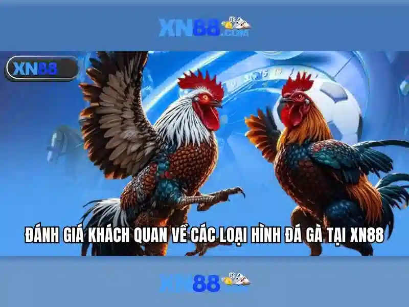 Danh gia cua nguoi dung ve xn88 ap