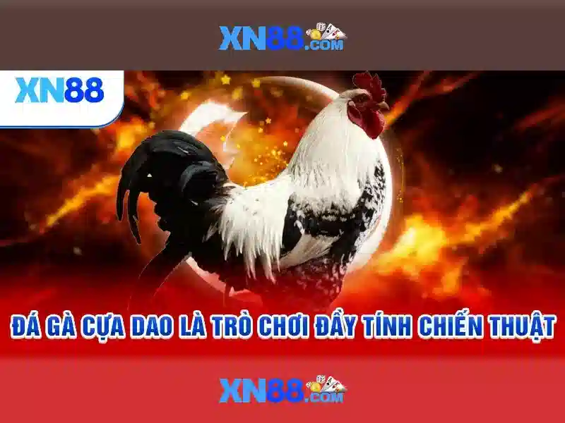 xn88 - Khám phá nền tảng cược trực tuyến an toàn và giải trí