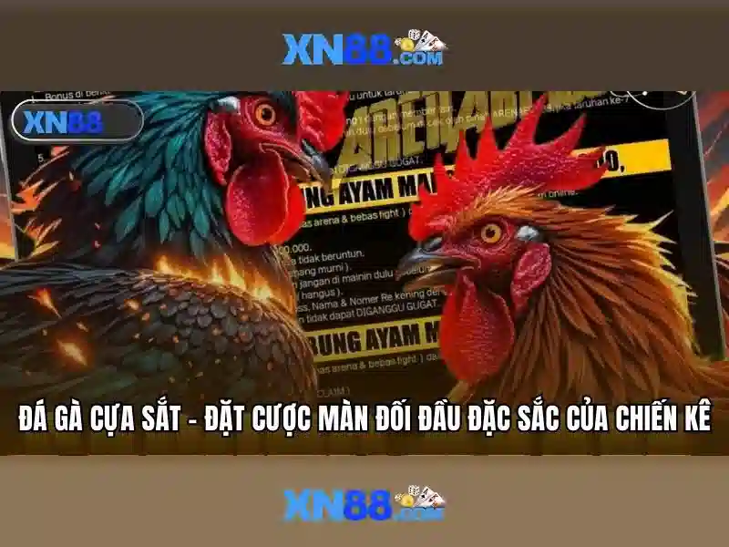 Giao diện nhà cái hoàn hảo