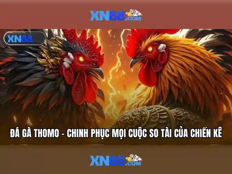 xn88 dang nhap – Trải nghiệm đăng nhập đỉnh cao Giao diện nhà cái hoàn hảo