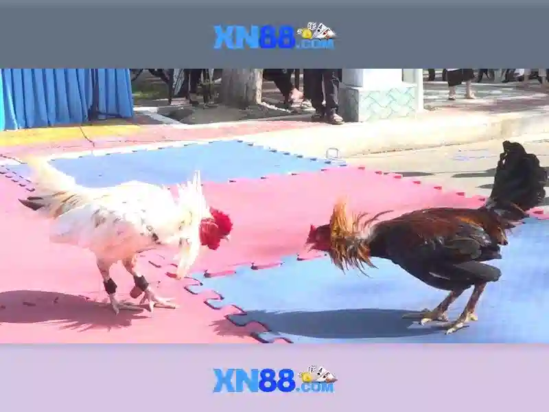 Nguồn gốc từ khóa và sứ mệnh