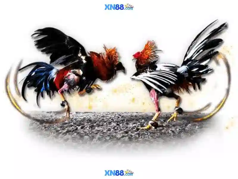 tải xn88: Trải nghiệm xn88 slot và xn88 trang chủ