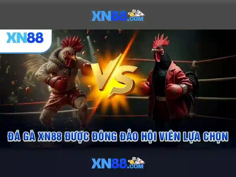 tại game xn88: trải nghiệm đáng tin cậy và liên kết xn88