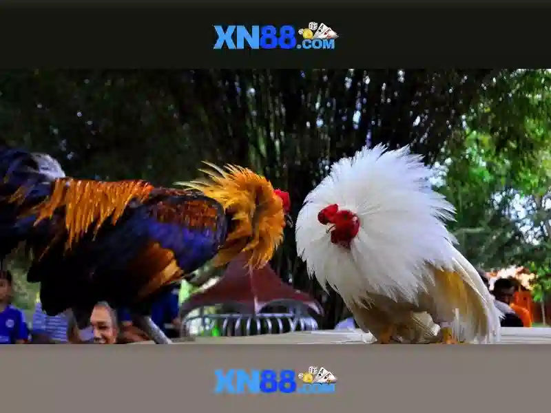 An toàn và pháp lý khi chơi tại xn88