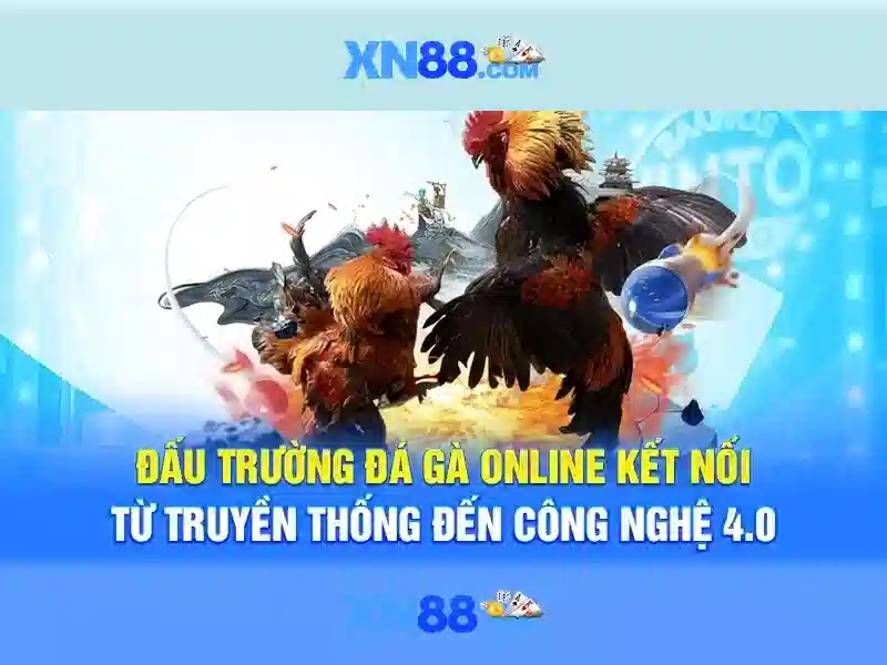 Giao diện nhà cái hoàn hảo