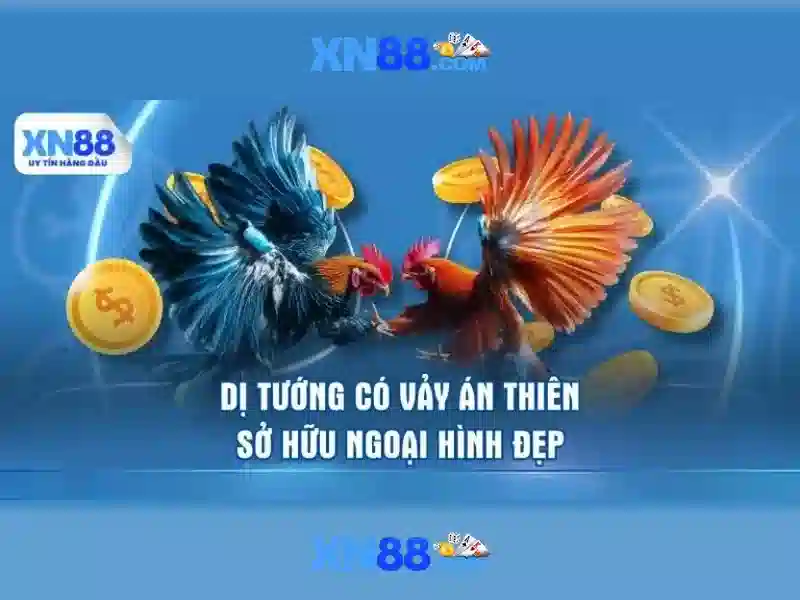 đăng nhập xn88 – Trải nghiệm an toàn và nhanh chóng Giao diện nhà cái hoàn hảo