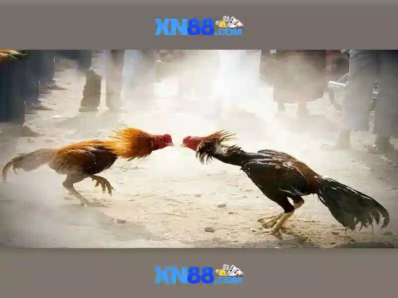 An toàn thanh toán và hỗ trợ khách hàng
