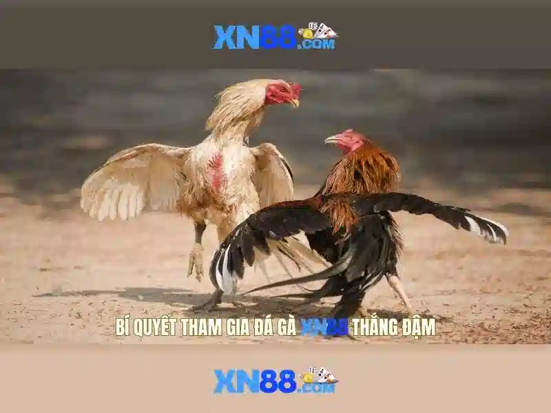 Chính sách và hỗ trợ