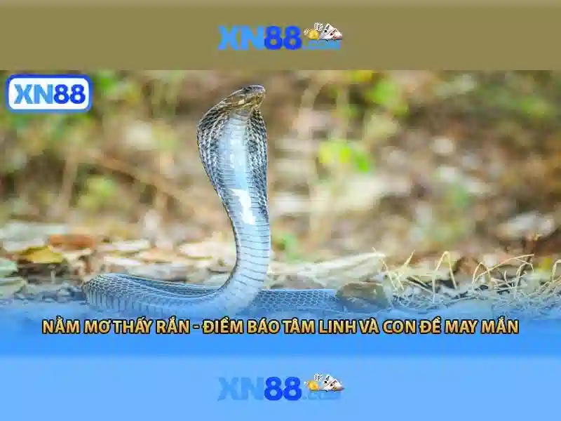 xn88: Tổng quan về nền tảng và cộng đồng Giao diện nhà cái hoàn hảo