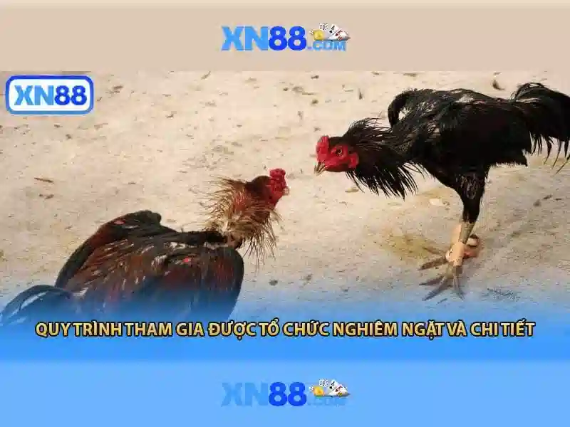 Giao diện nhà cái hoàn hảo