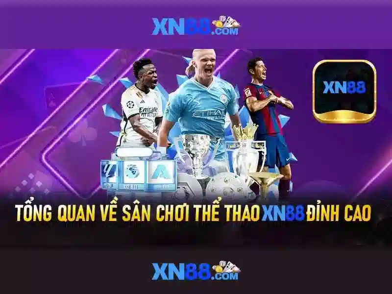 Giao diện nhà cái hoàn hảo