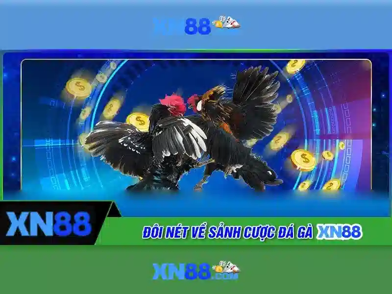Các tính năng nổi bật