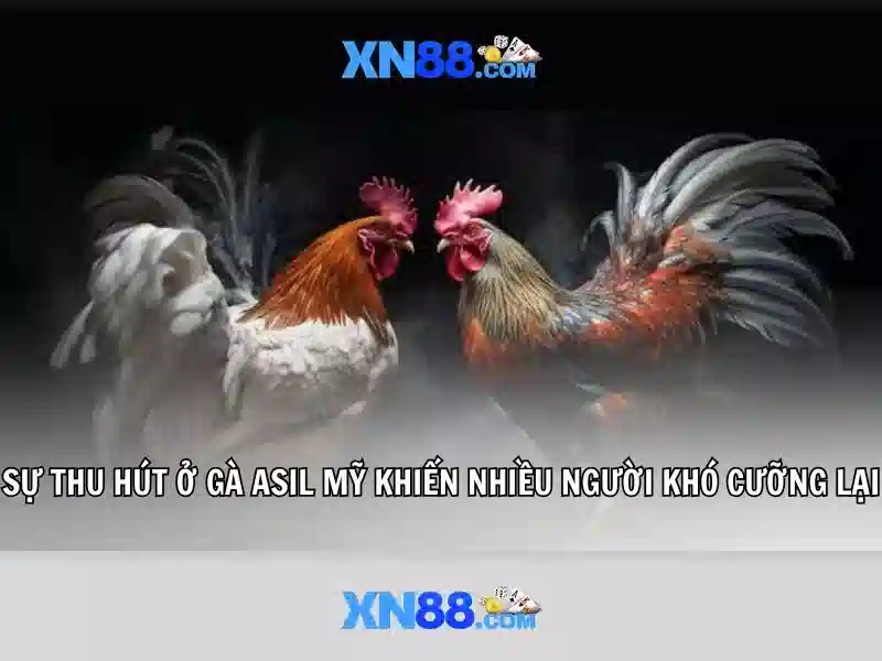 xn88: Tổng quan về nền tảng cá cược và giải trí trực tuyến