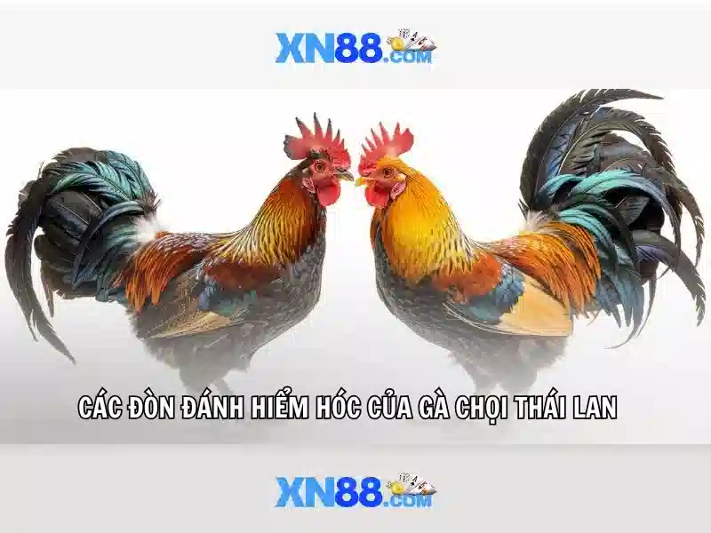 Giao diện và trải nghiệm người dùng