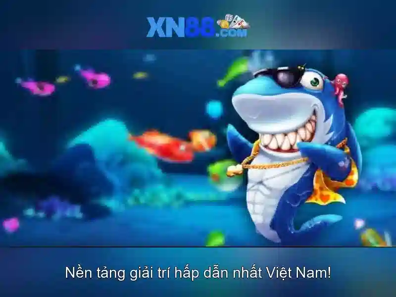 An toàn và cấp phép