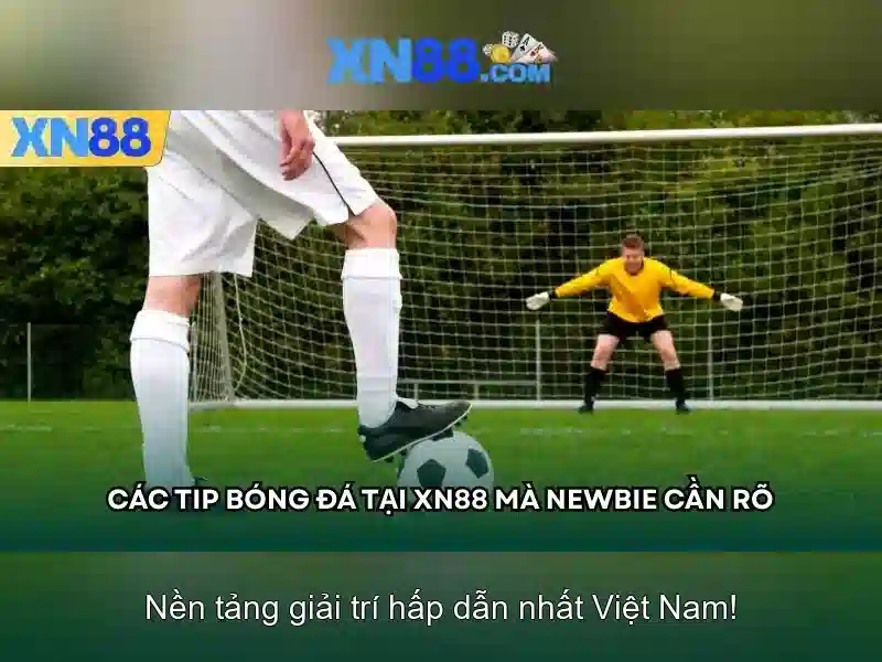 Kết luận và tương lai của XN88