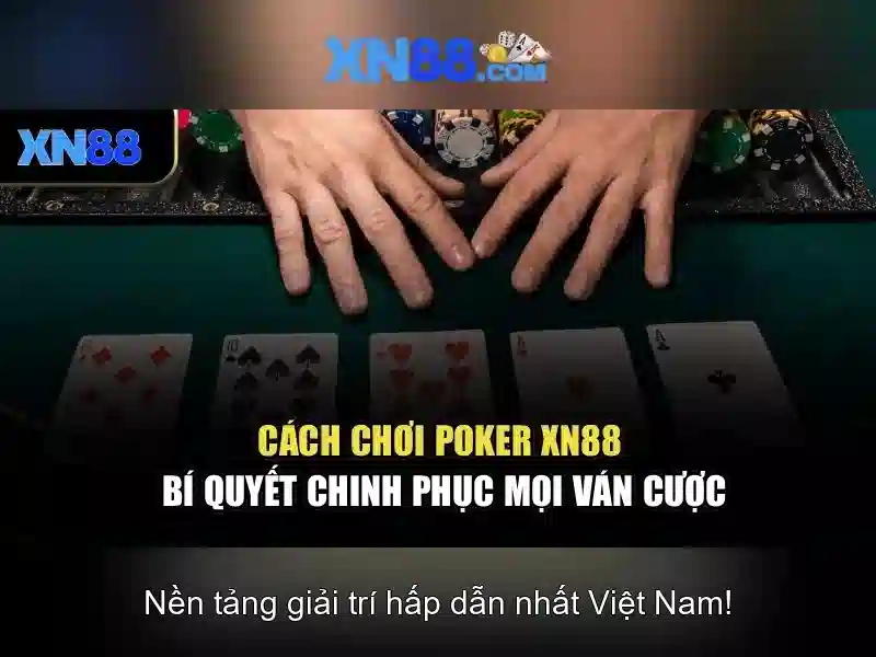 Lịch sử và sự phát triển của XN88