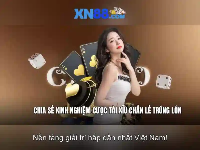 Lịch sử và nguồn gốc của xn88