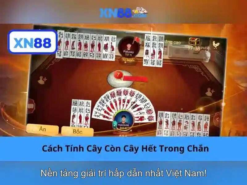 An toàn và bảo mật