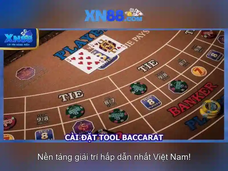 Trải nghiệm người dùng và phản hồi cộng đồng