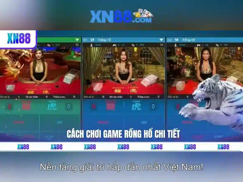 Giao diện nhà cái hoàn hảo