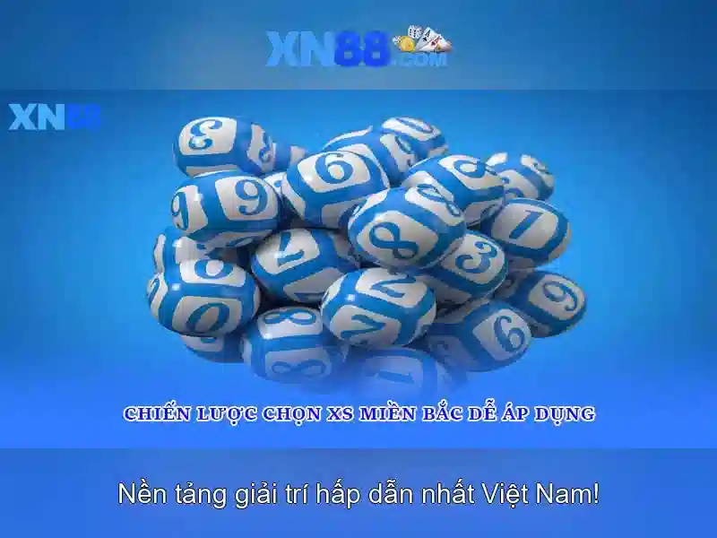 An toàn và trách nhiệm khi tham gia