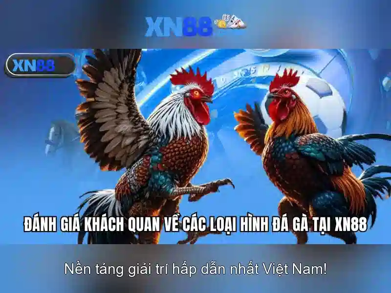 xn88: một nền tảng giải trí và công nghệ