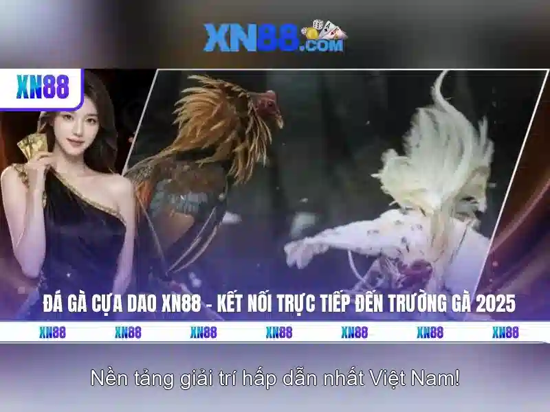 xn88: Nền tảng giải trí và trò chơi trực tuyến